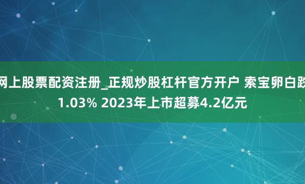 网上股票配资注册_正规炒股杠杆官方开户 索宝卵白跌1.03% 2023年上市超募4.2亿元