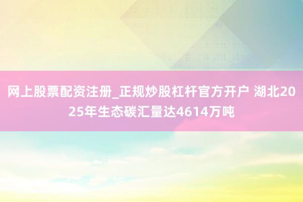 网上股票配资注册_正规炒股杠杆官方开户 湖北2025年生态碳汇量达4614万吨