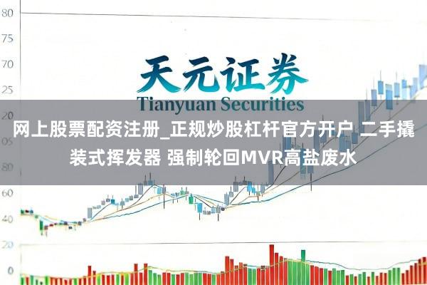 网上股票配资注册_正规炒股杠杆官方开户 二手撬装式挥发器 强制轮回MVR高盐废水