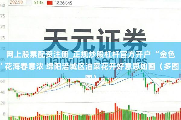 网上股票配资注册_正规炒股杠杆官方开户 “金色”花海春意浓 绵阳涪城区油菜花开好意思如画（多图）